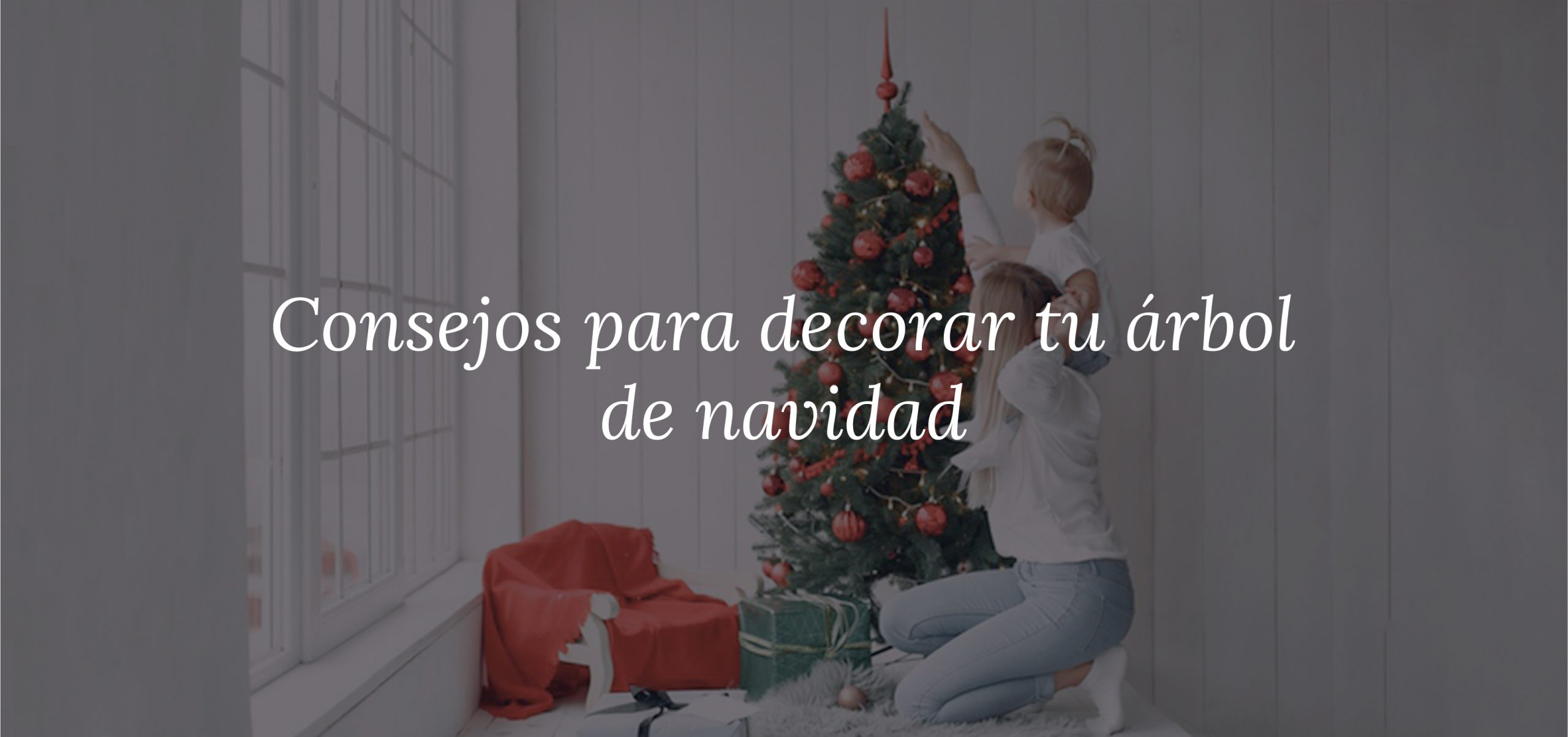 baner 2_Mesa de trabajo 1