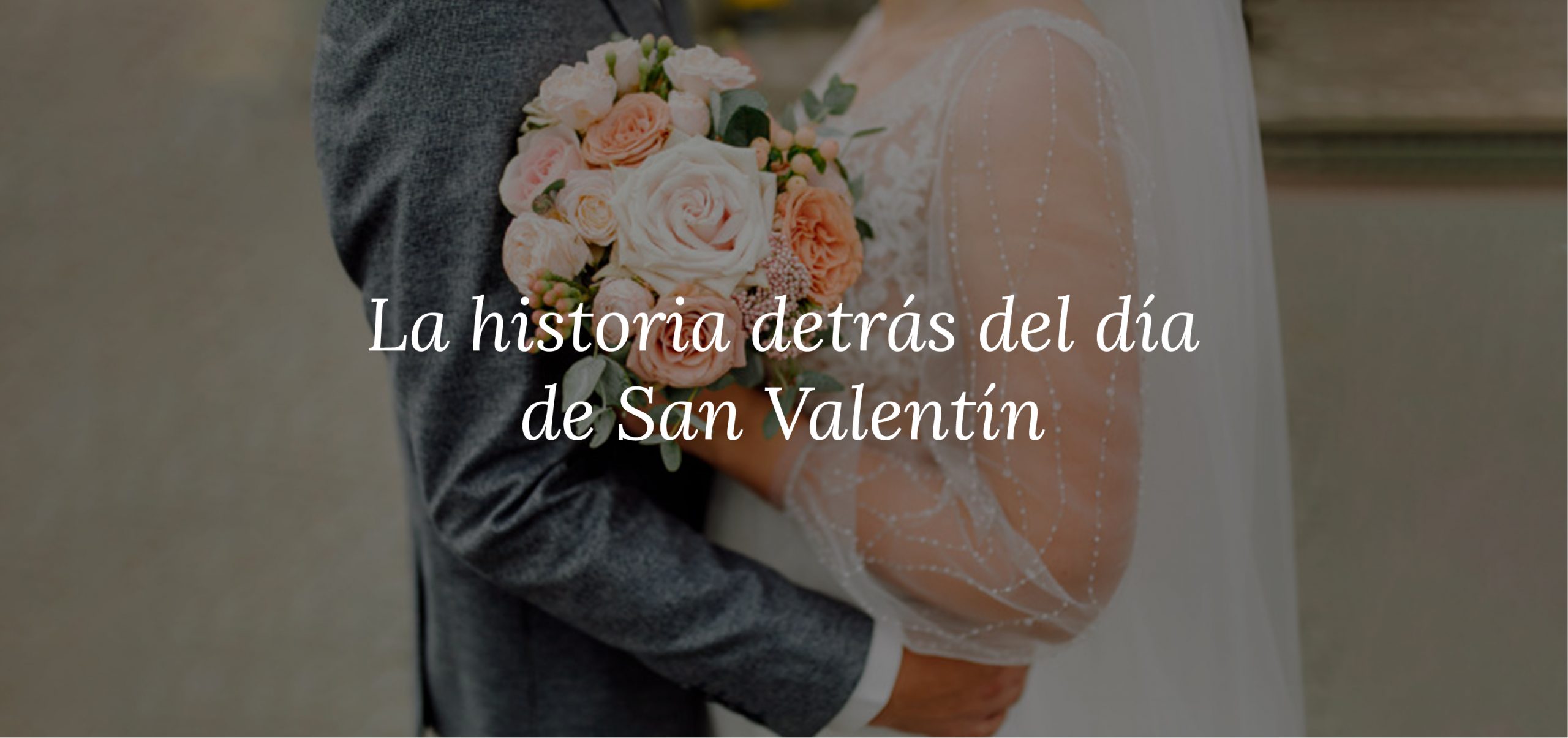 baner 2-11