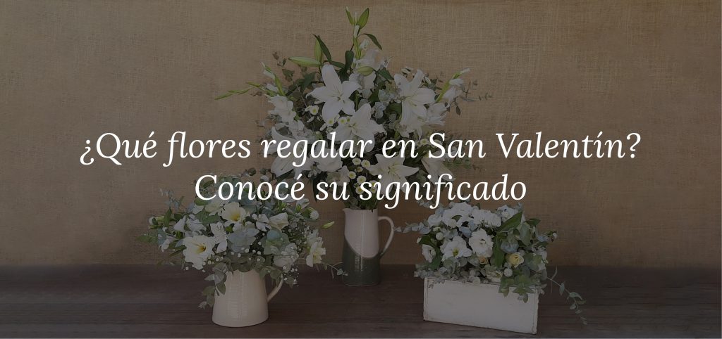 baner 3-14