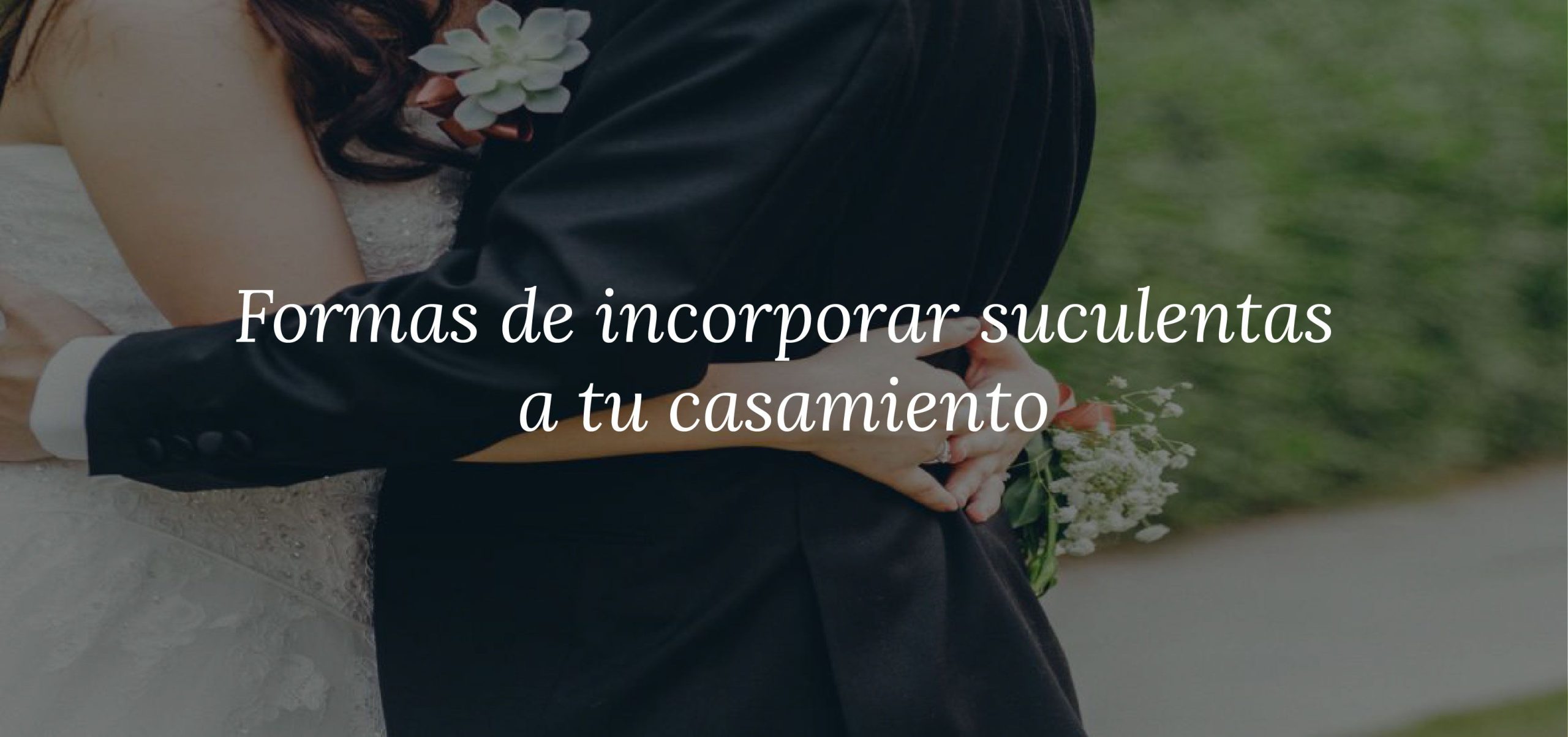 banner of