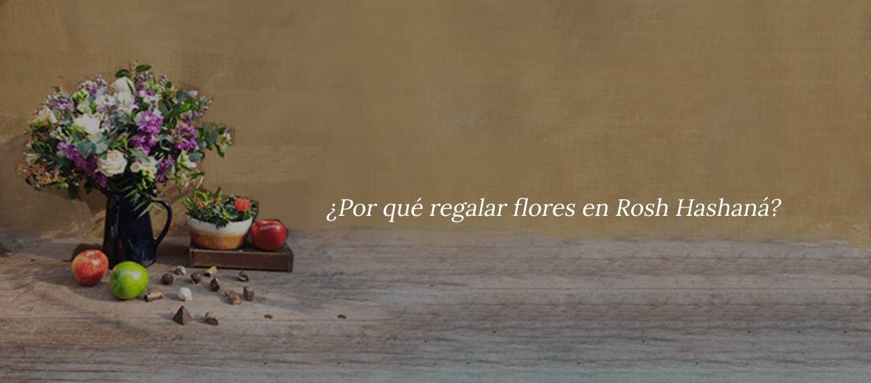 Banner 2 (1)
