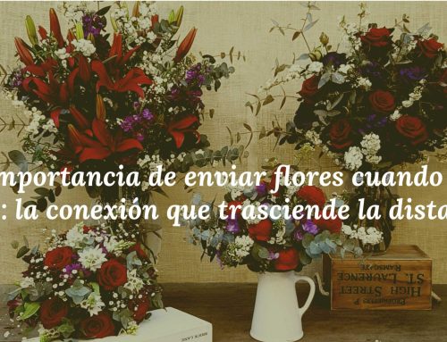 La importancia de enviar flores cuando vives lejos: la conexión que trasciende la distancia