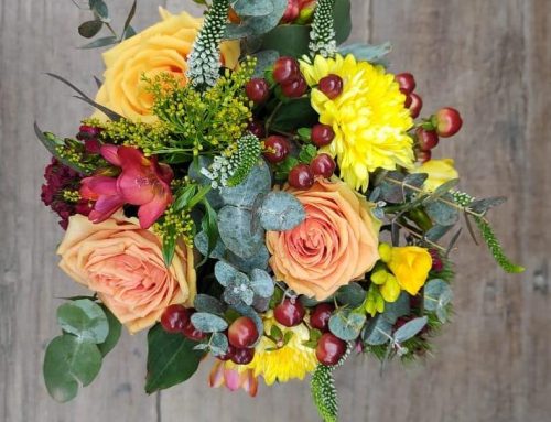 ¿Por qué regalar flores en una mudanza?