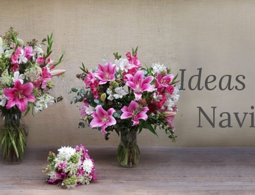 Ideas para Navidad