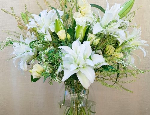 Producto destacado: Años Dorados