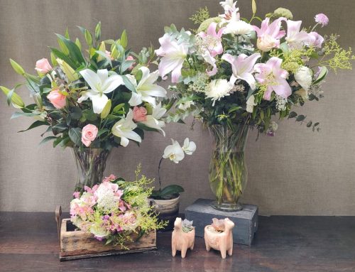 Un gesto para empezar de nuevo