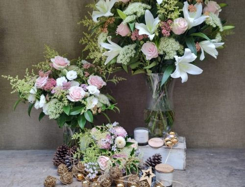 Donde el regalo se vuelve experiencia