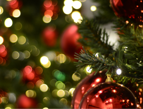 ¡La Navidad ya florece en cecileboutique.com!