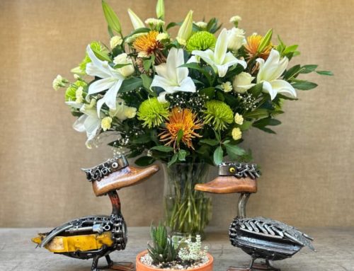 Verano 2026 en Cecileboutique.com