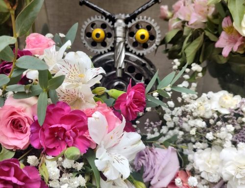 Pequeños visitantes, grandes protagonistas