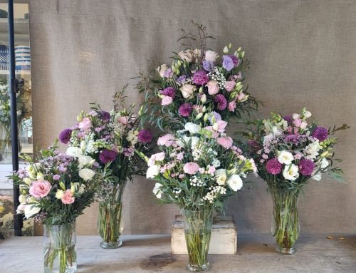 Vida: Flores que celebran juntas